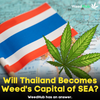 Will Thailand Becomes Weed's Capital of South East Asia?