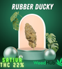 Rubber Ducky 【Sativa & THC 22%】