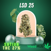 LSD 25 【Sativa & THC 27%】