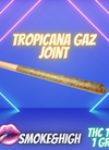 Tropicana Gaz - Pre-Rolled Joint【Hybrid Sativa&THC16%】